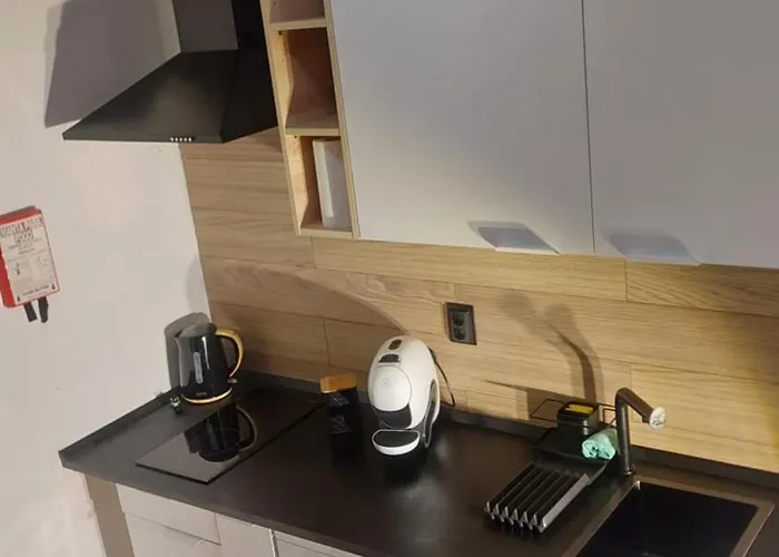 Elegance In Appartement